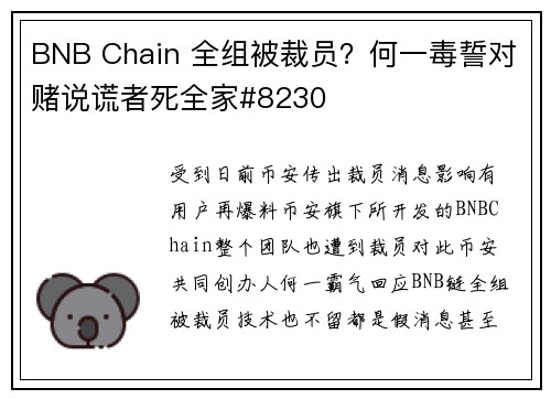 BNB Chain 全组被裁员？何一毒誓对赌说谎者死全家#8230